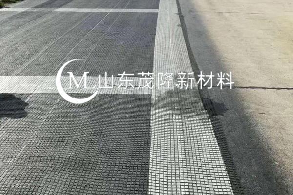 《怡心湖 C 區(qū)片區(qū)綜合開發(fā)項目二期工程》土工格柵施工